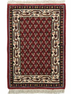 Randina Mir|Kibek Online