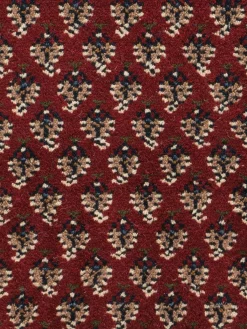 Randina Mir|Kibek Online