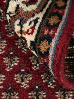 Randina Mir|Kibek Online