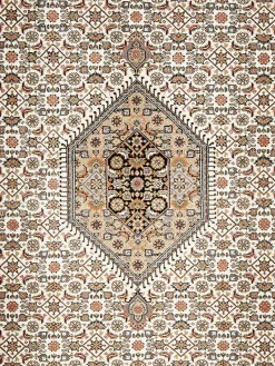 Rawara Bidjar|Kibek Online