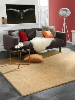 Safi|Kibek Clearance