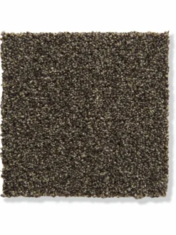 Salerno|Kibek Discount