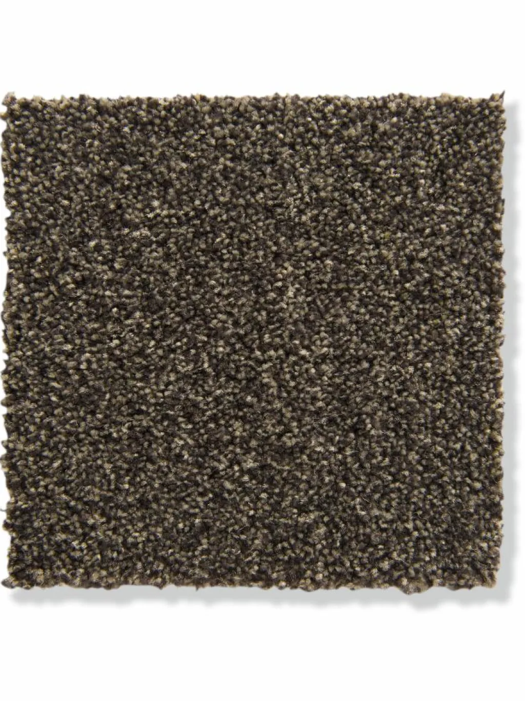 Salerno|Kibek Discount