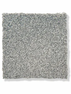 Salerno|Kibek Online