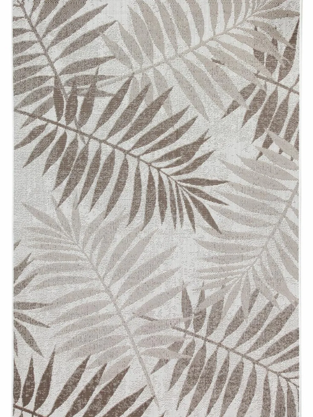 Samambaia|Kibek Discount