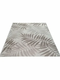 Samambaia|Kibek Discount