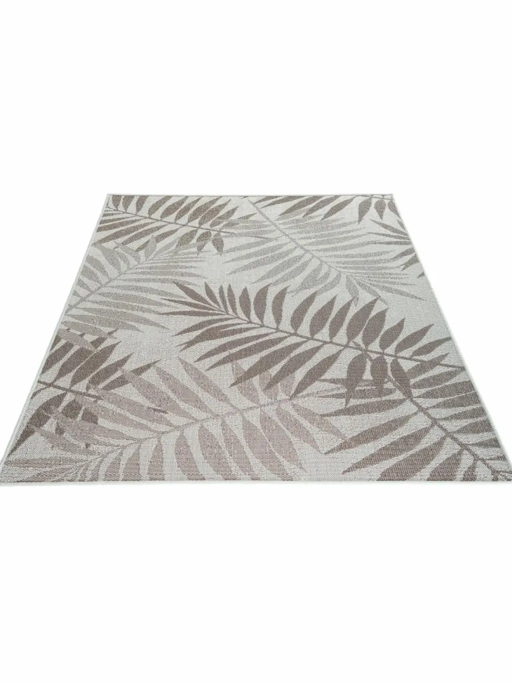 Samambaia|Kibek Discount