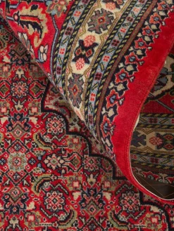 Sarough Mashayekhi|Kibek Hot