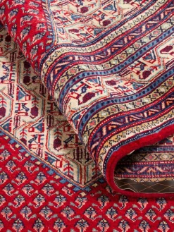 Sarough Mir|Kibek Outlet