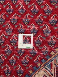 Sarough Mir|Kibek Outlet