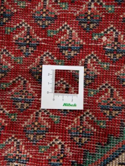 Sarough Mir|Kibek Discount