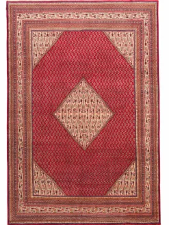 Sarough Mir|Kibek Clearance