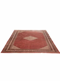 Sarough Mir|Kibek New