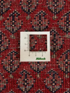 Sarough Mir|Kibek New