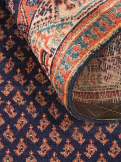 Sarough Mir|Kibek Hot