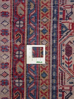 Sarough Mir|Kibek Hot