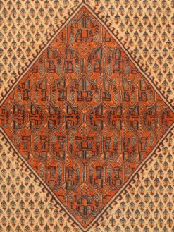 Sarough Mir|Kibek Best