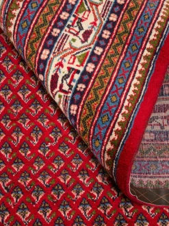 Sarough Mir|Kibek Hot