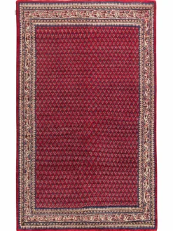 Sarough Mir|Kibek Online