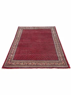 Sarough Mir|Kibek Online