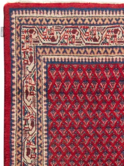 Sarough Mir|Kibek Online