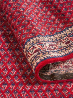 Sarough Mir|Kibek Online