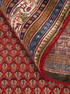 Sarough Mir Semiantik|Kibek Outlet