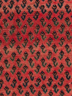 Sarough Mir Vintage|Kibek Hot