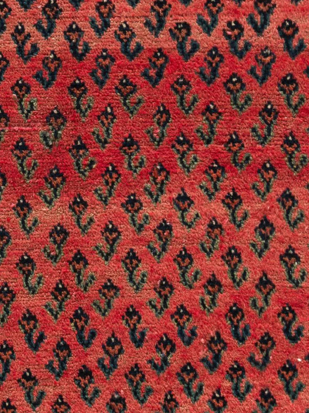 Sarough Mir Vintage|Kibek Hot