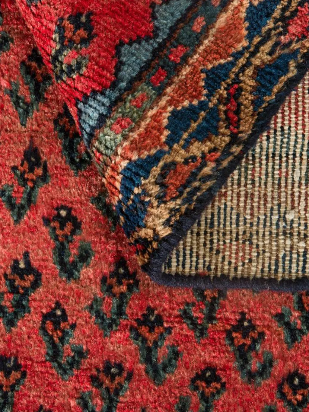 Sarough Mir Vintage|Kibek Hot