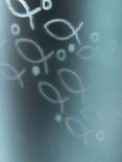 School of Fish|Kibek Best