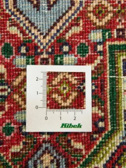 Senneh|Kibek Discount