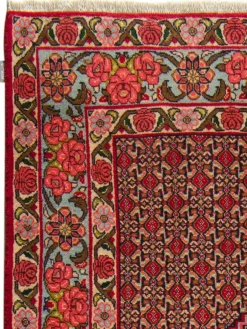 Senneh|Kibek Clearance