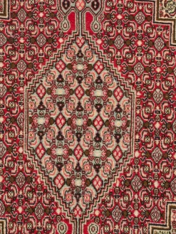 Senneh|Kibek Clearance