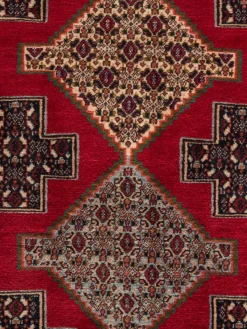 Senneh|Kibek Clearance