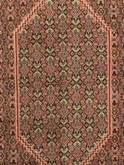 Senneh|Kibek Discount