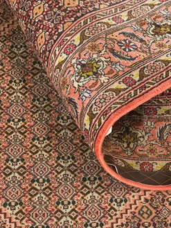 Senneh|Kibek Discount