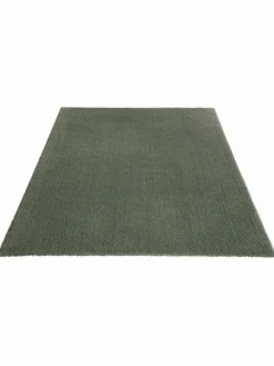 Sensation|Kibek Online