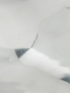 Shiny|Kibek Discount