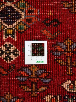 Shiraz|Kibek Discount