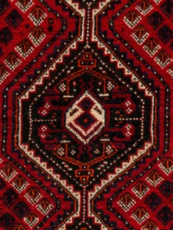 Shiraz|Kibek Clearance