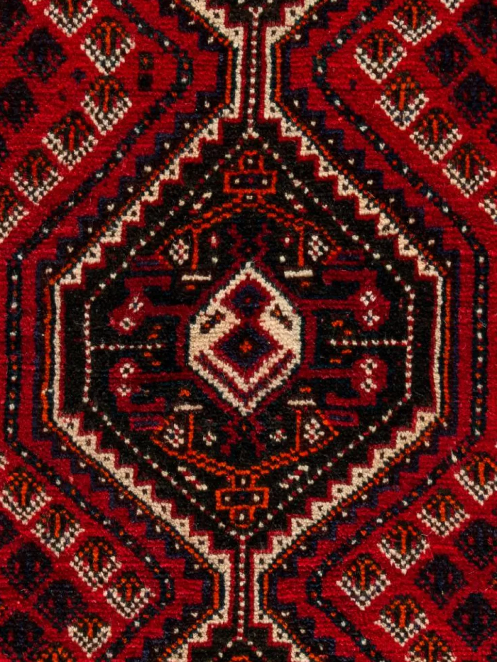 Shiraz|Kibek Clearance