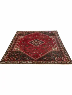 Shiraz|Kibek Clearance