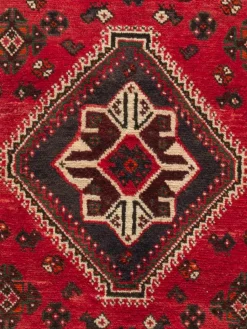 Shiraz|Kibek Clearance