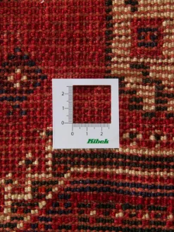 Shiraz|Kibek Clearance