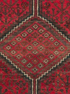 Shiraz|Kibek Clearance