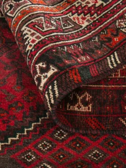 Shiraz|Kibek Clearance