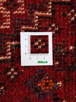 Shiraz|Kibek Discount