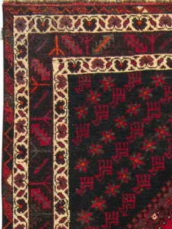 Shiraz|Kibek Clearance