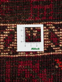 Shiraz|Kibek Clearance